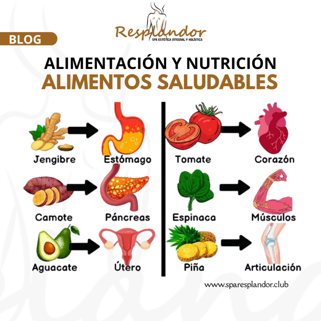 Alimentos Saludables y Nutrición Personalizada en Spa Resplandor