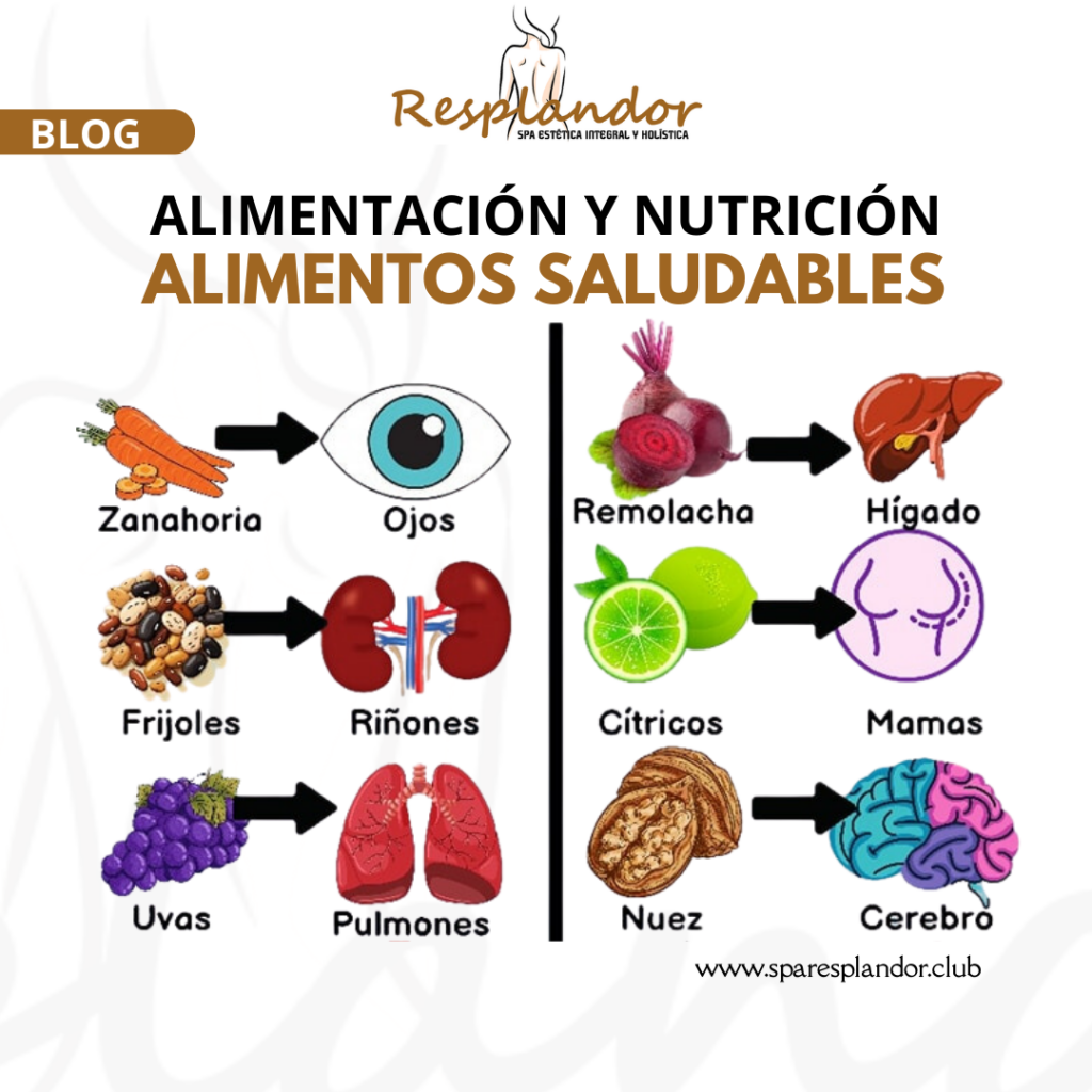 Alimentos Saludables y Nutrición Personalizada en Spa Resplandor